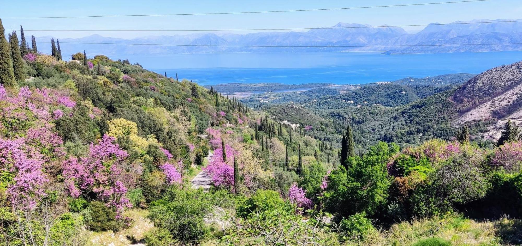 Castello Di Lafki Διαμέρισμα Corfu  Εξωτερικό φωτογραφία