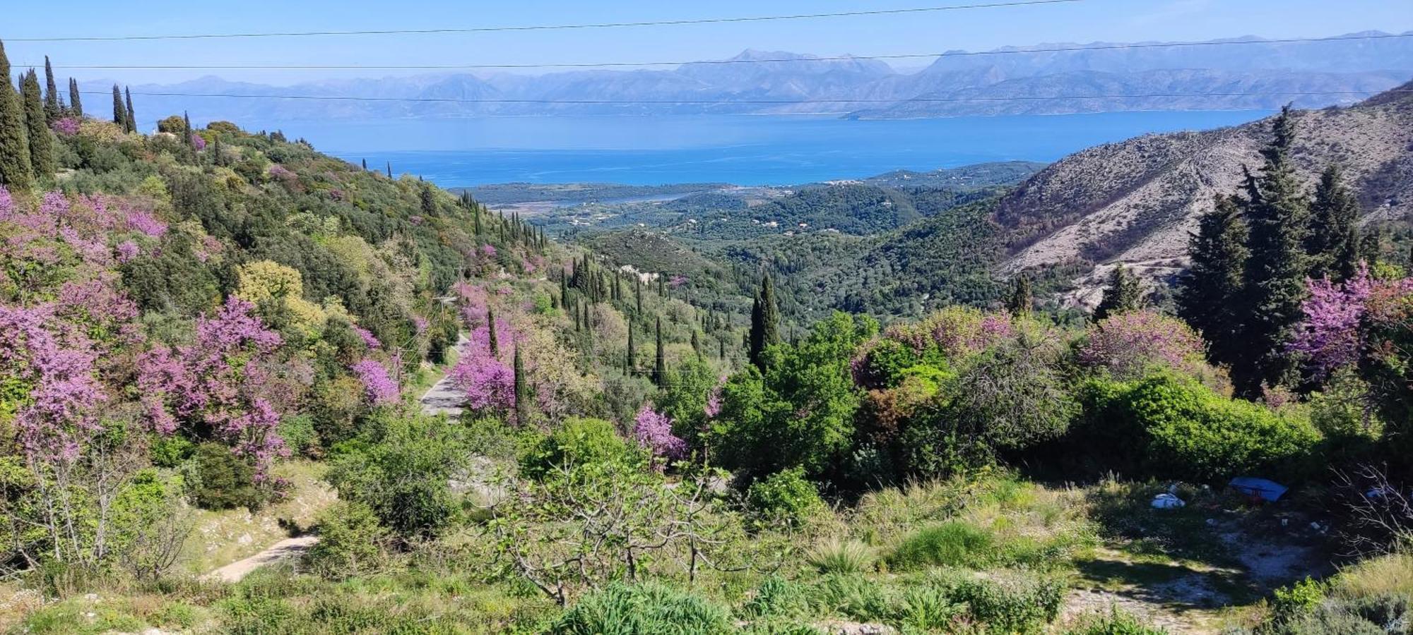 Castello Di Lafki Διαμέρισμα Corfu  Εξωτερικό φωτογραφία